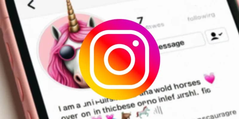 How to Fix an Instagram Bio Not Working?
